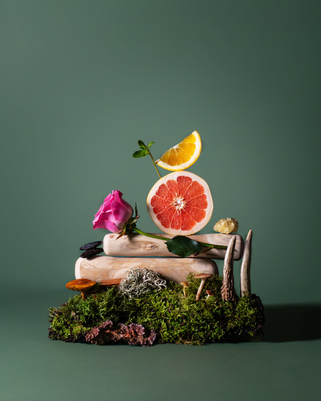 Wild Mushroom + Woodland Moss