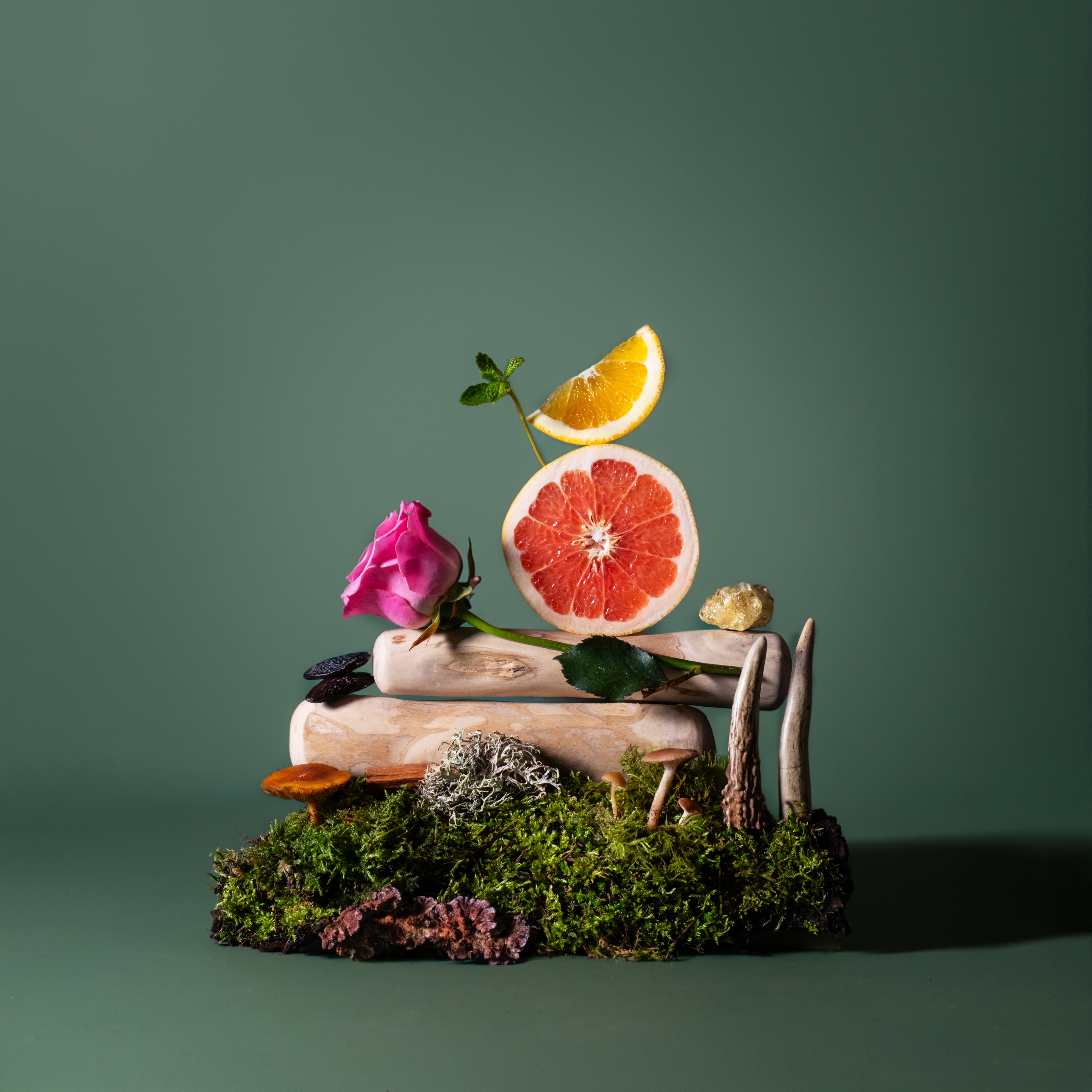 Wild Mushroom + Woodland Moss
